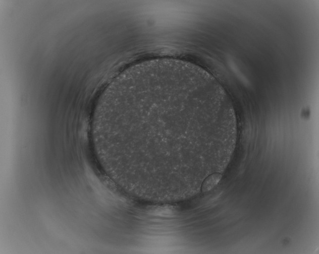 X0000113160643200910161245