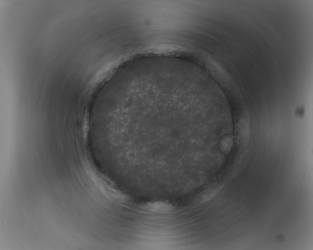 X0000113160644200910161245