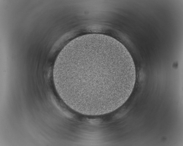 X0000113160645200910161245