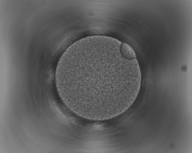 X0000113160647200910161245