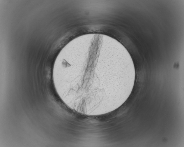 X0000113160648200910161245