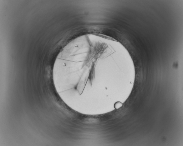 X0000113160649200910161245