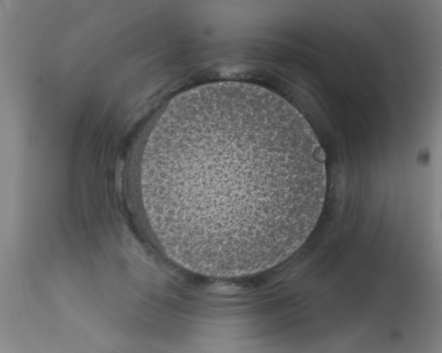 X0000113160650200910161245