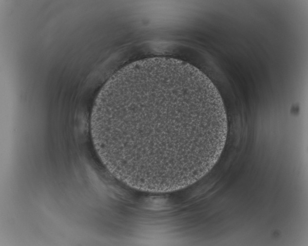 X0000113160651200910161245