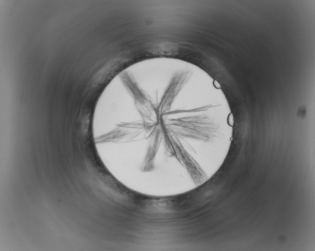 X0000113160652200910161245