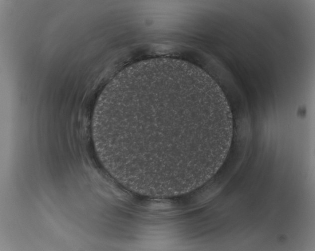 X0000113160653200910161245