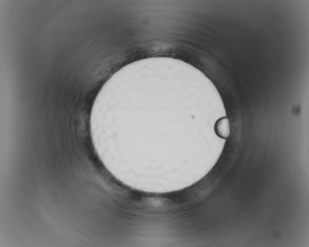 X0000113160654200910161245