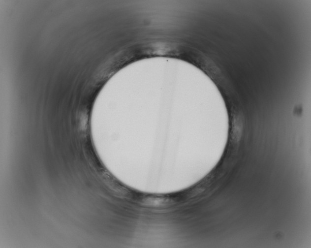 X0000113160657200910161245