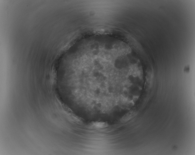 X0000113160659200910161245