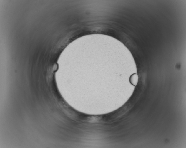 X0000113160660200910161245