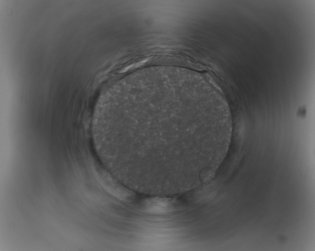 X0000113160661200910161245