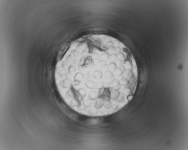 X0000113160662200910161245