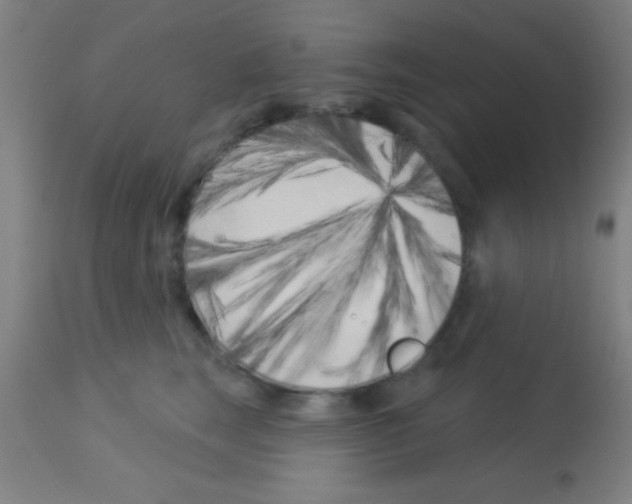 X0000113160663200910161245