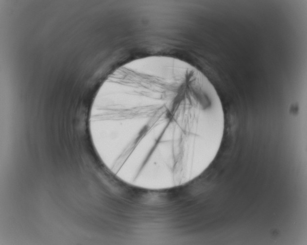 X0000113160664200910161245