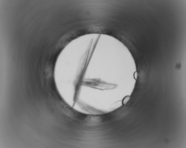 X0000113160665200910161246