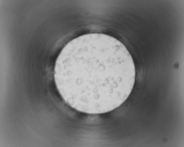 X0000113160666200910161246