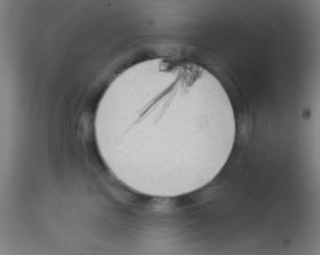 X0000113160667200910161246