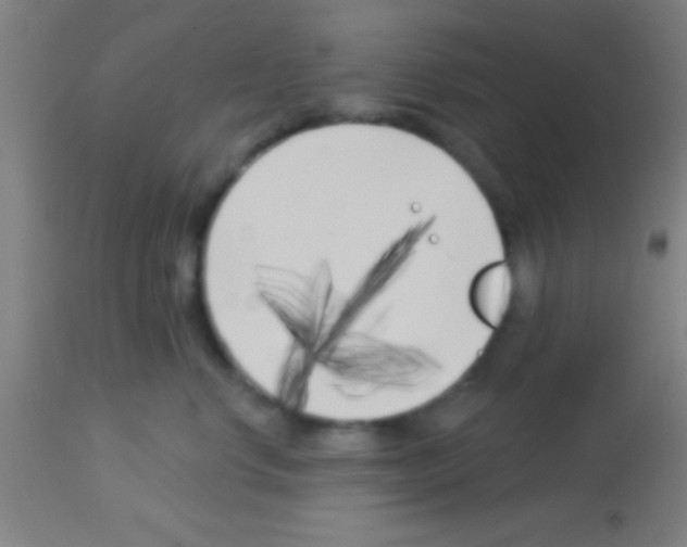 X0000113160668200910161246