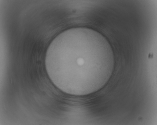 X0000113160672200910161246