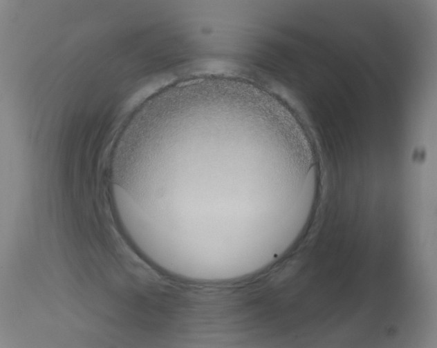 X0000113160673200910161245