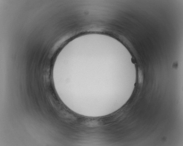 X0000113160675200910161245