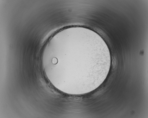 X0000113160676200910161245