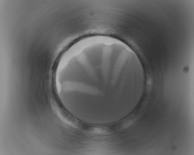 X0000113160678200910161245