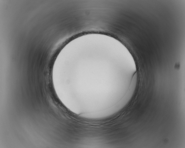 X0000113160680200910161245