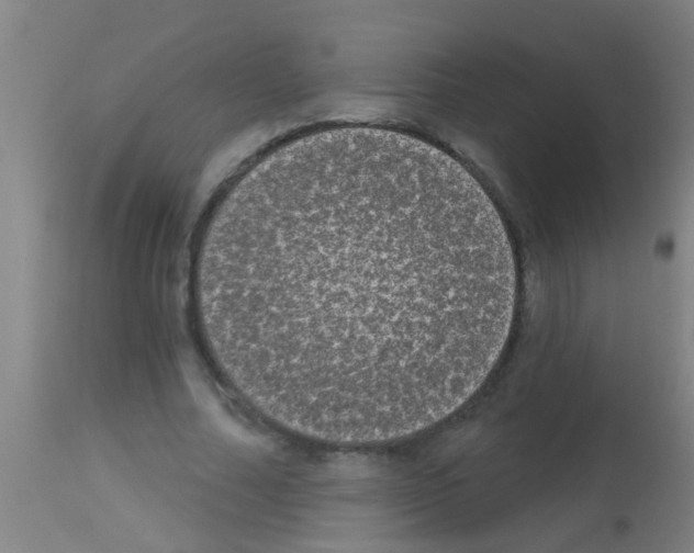 X0000113160682200910161245