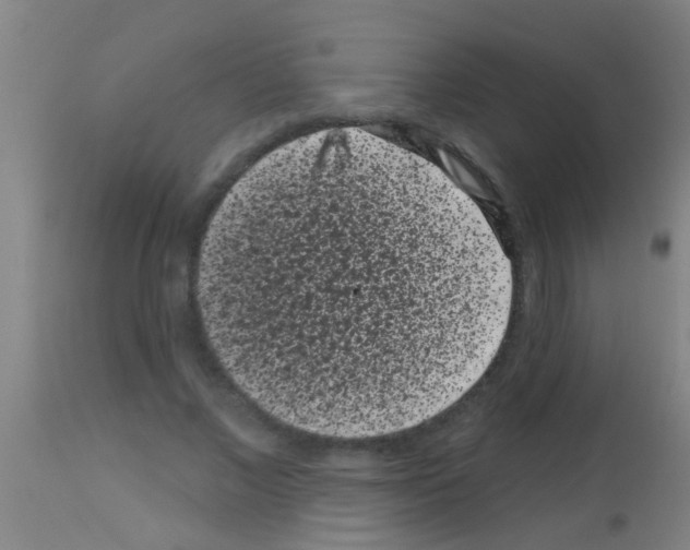 X0000113160685200910161244