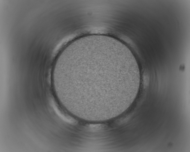 X0000113160686200910161244