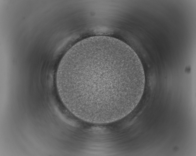 X0000113160690200910161244