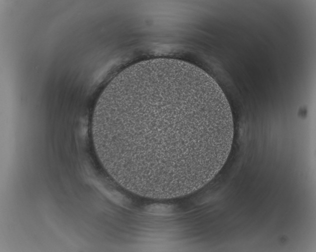 X0000113160691200910161244