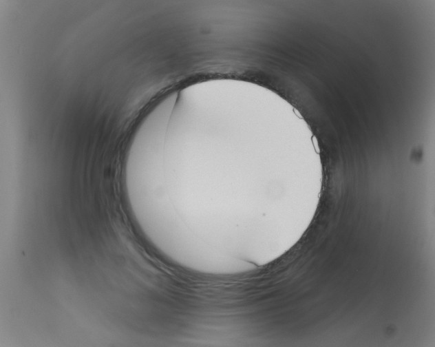 X0000113160692200910161244