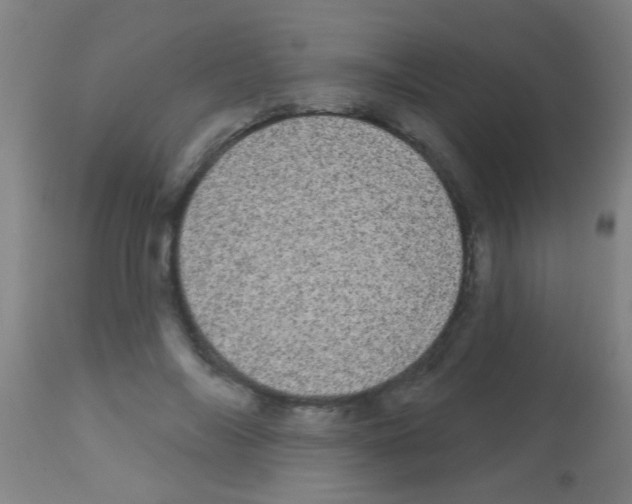 X0000113160694200910161244