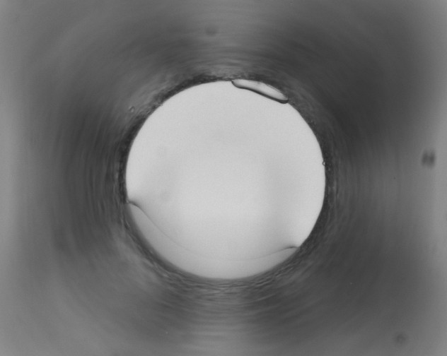 X0000113160696200910161244