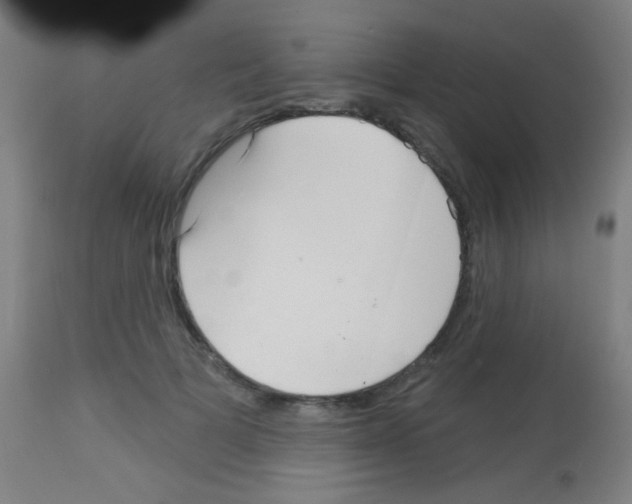 X0000113160697200910161244