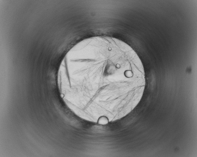 X0000113160699200910161244