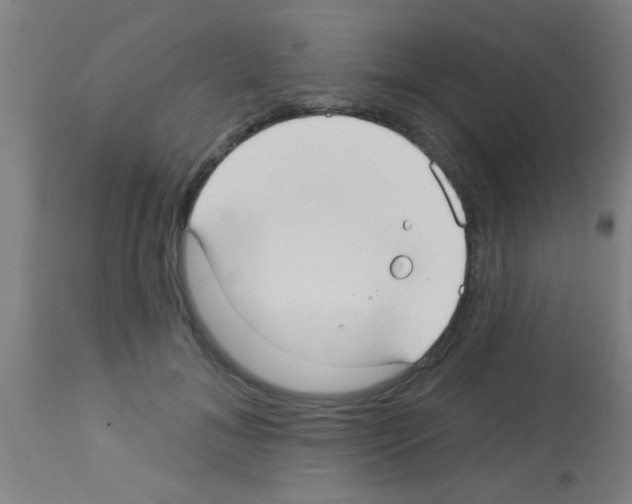 X0000113160700200910161244