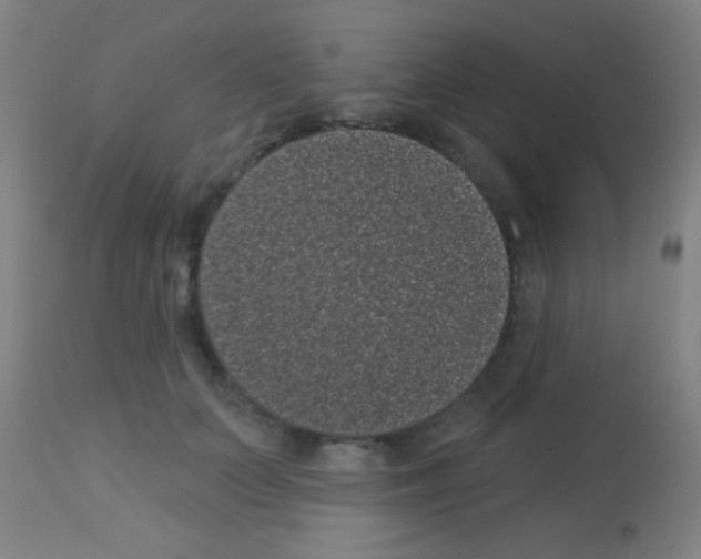 X0000113160703200910161244