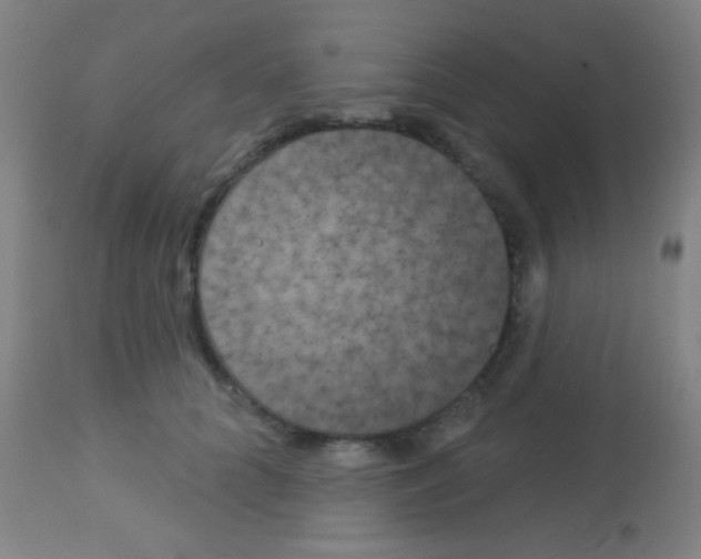 X0000113160704200910161244