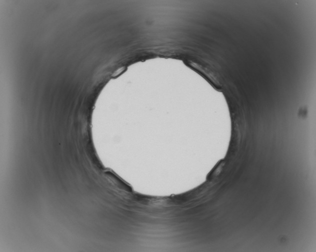 X0000113160705200910161244