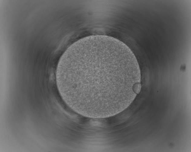 X0000113160706200910161244