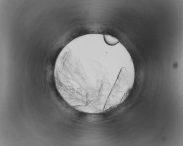 X0000113160707200910161244