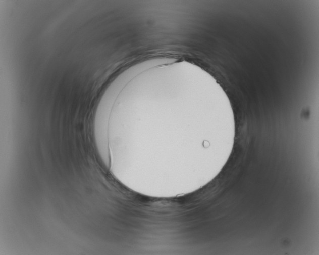 X0000113160708200910161244