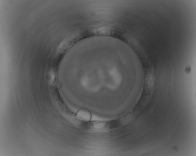 X0000113160709200910161244