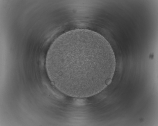 X0000113160710200910161244