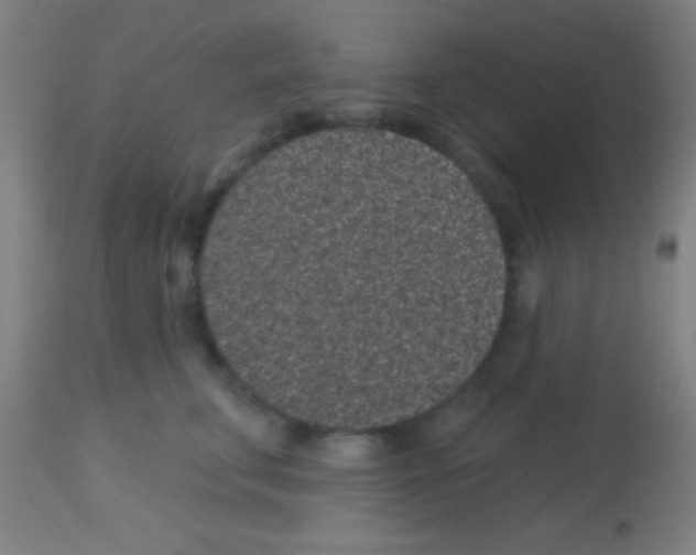 X0000113160711200910161244