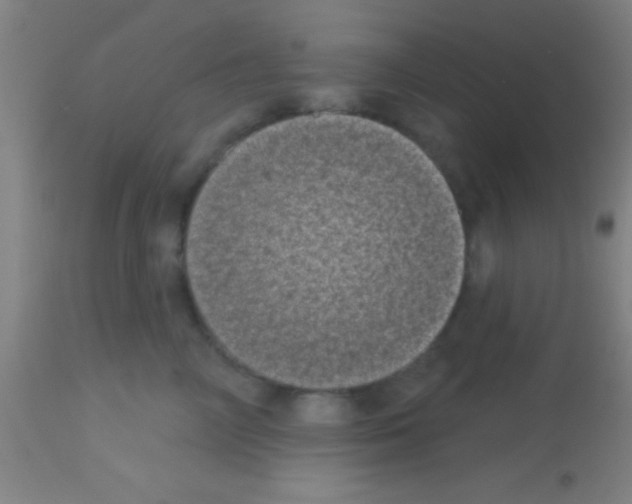 X0000113160714200910161244