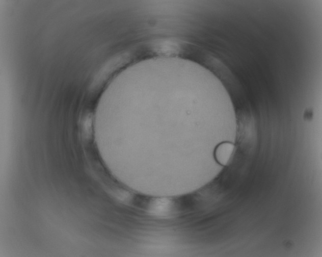 X0000113160717200910161244